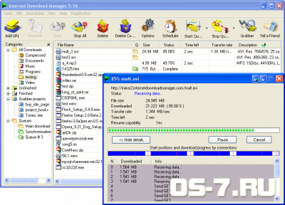  Internet Download Manager v6.04 build 2
